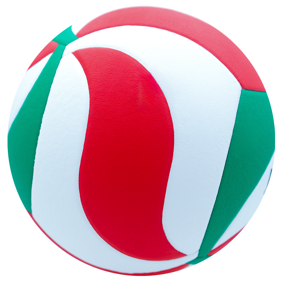 Balón de Voleibol V5M4200