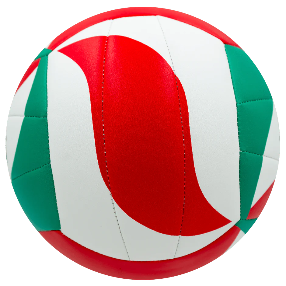 Balón de Voleibol Molten VM1500