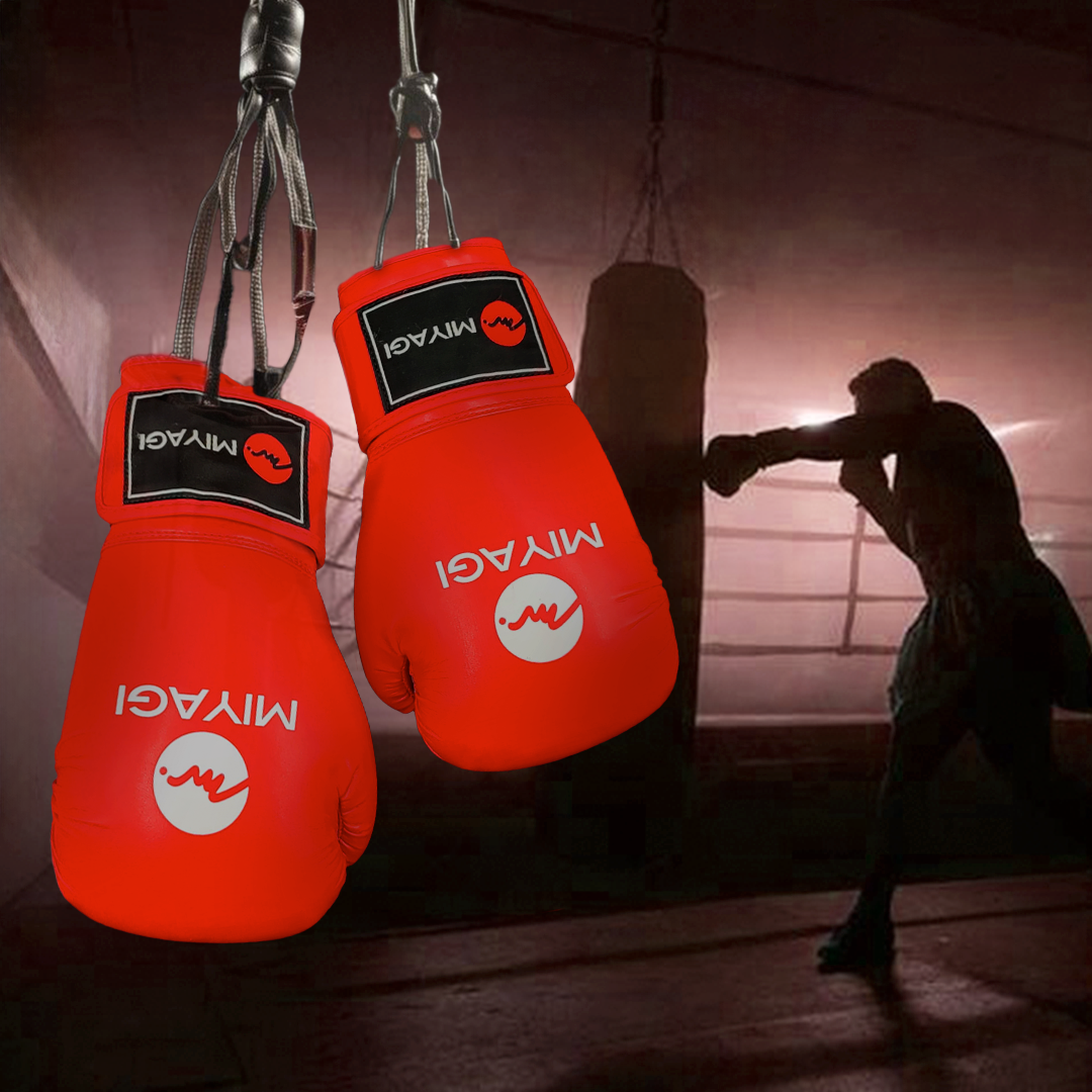 GUANTES BOXEO MIYAGI