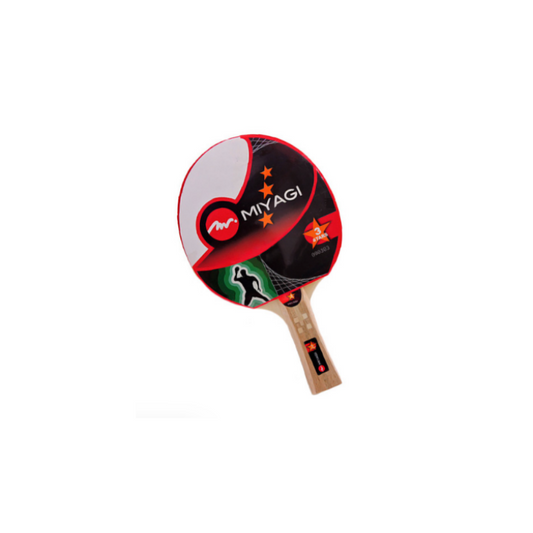 Raqueta Tenis De Mesa