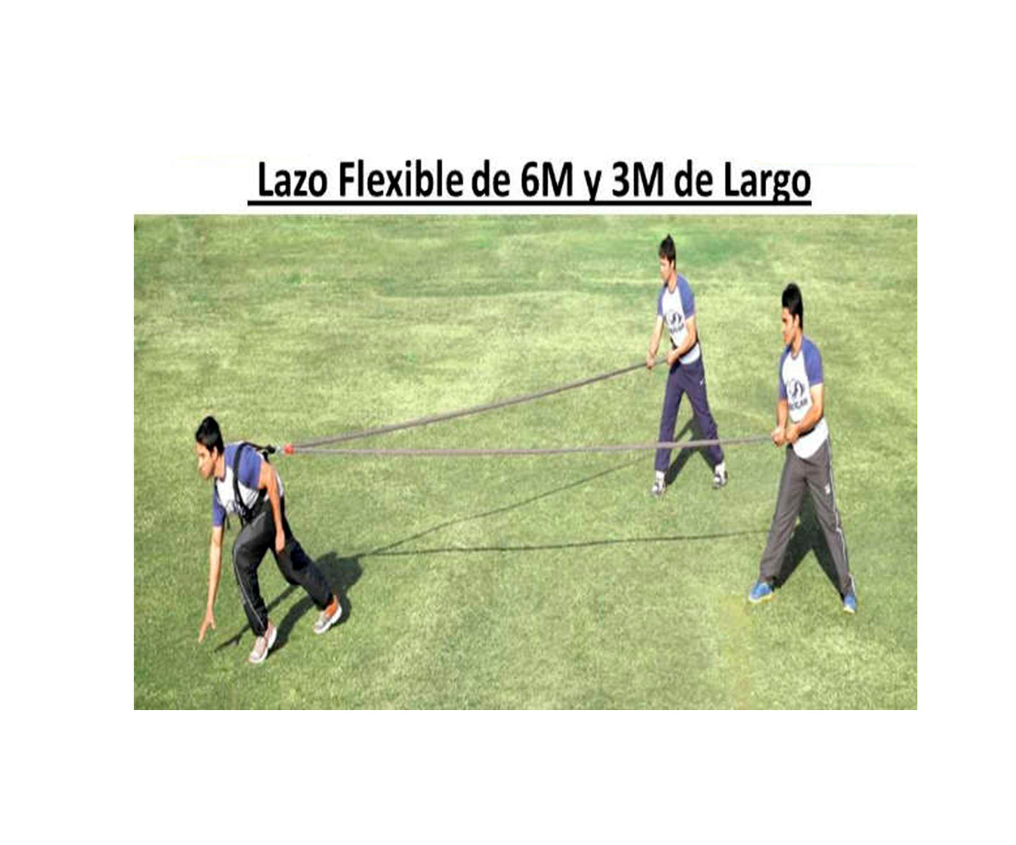 Flexicord Lazo De 6M 08EN06