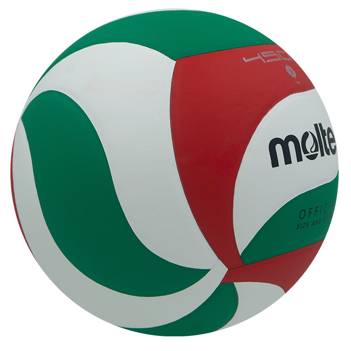 Balon de Voleibol V5M4500 Molten