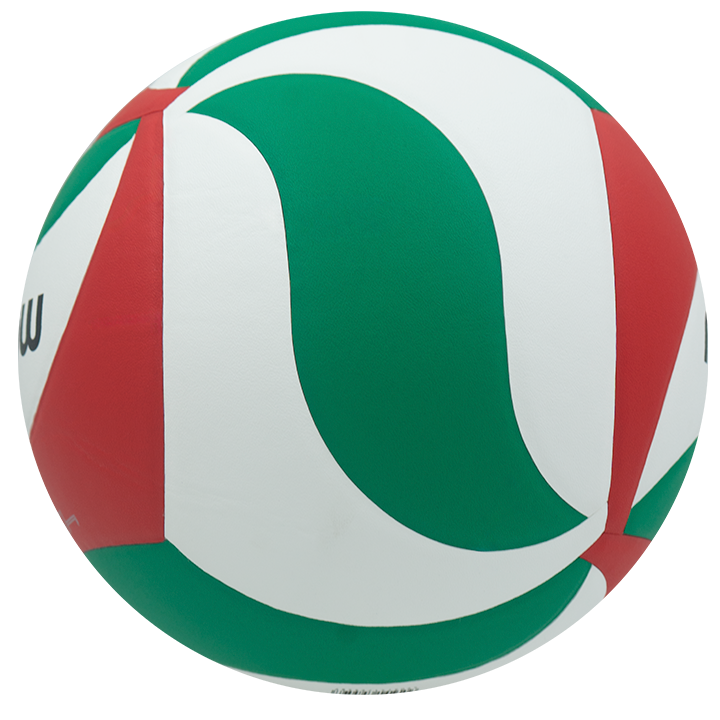 Balon de Voleibol V5M4500 Molten