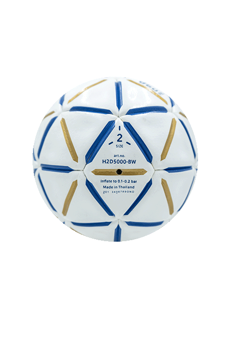 Balón de Balonmano Profesional Molten HD5000-BW