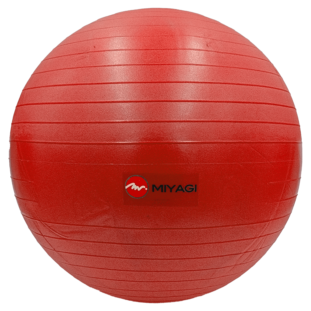 Pelota Pilates MIYAGI Oficial Original Rojo Gimnasio Fitness Terapia Colombia Rehabilitacion Dismovel